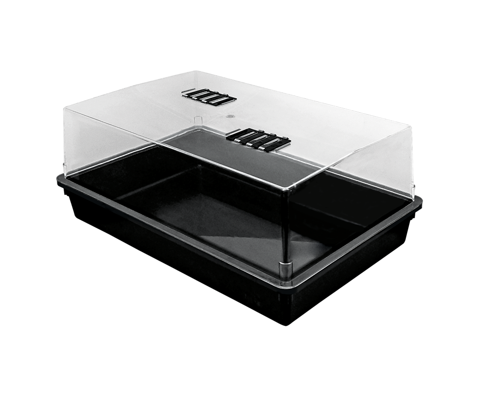 Clone Box 70 (set) 58x38x24cm