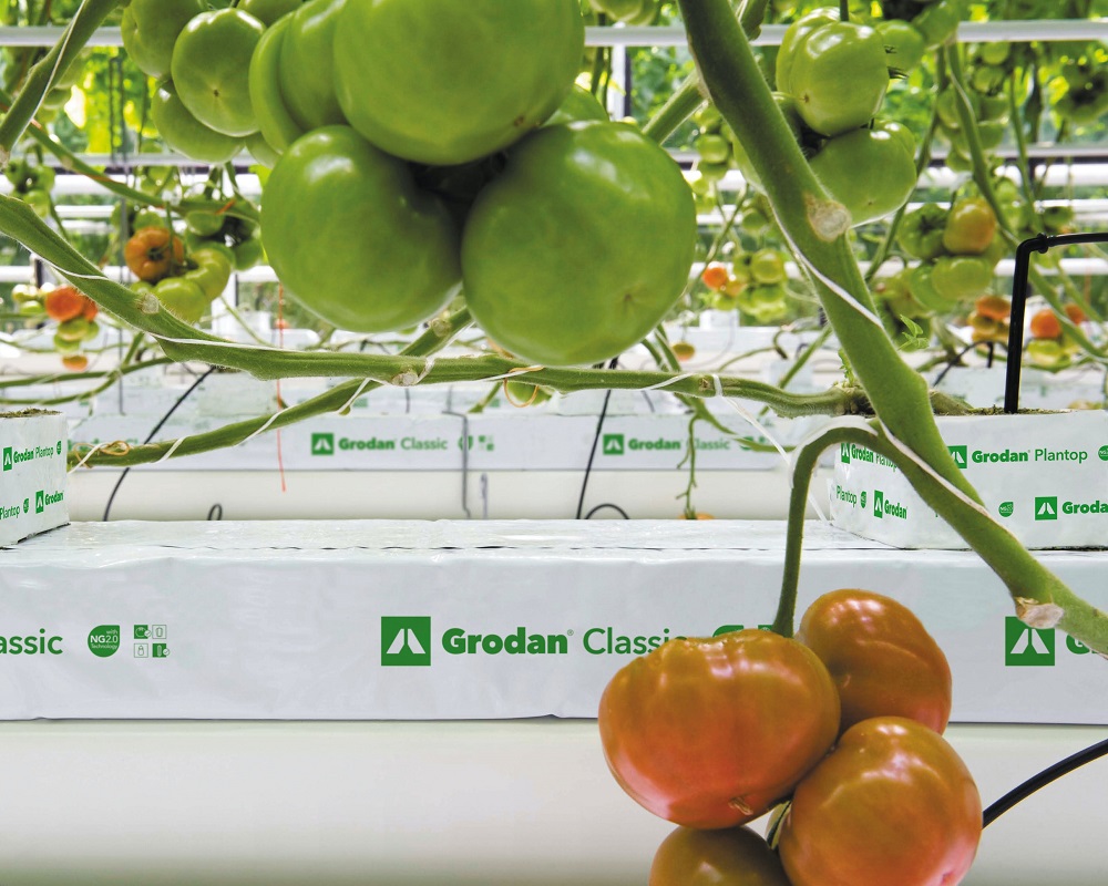 Grodan Classic SY 100x15 - slika 2