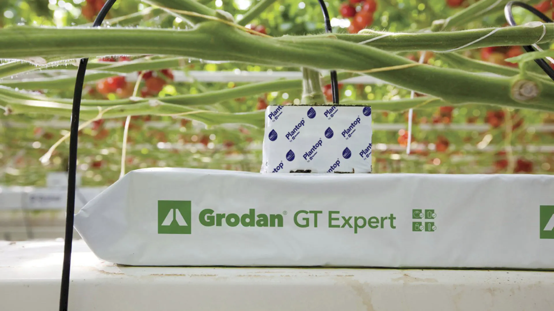 Grodan GT Expert 100x20 - slika 2