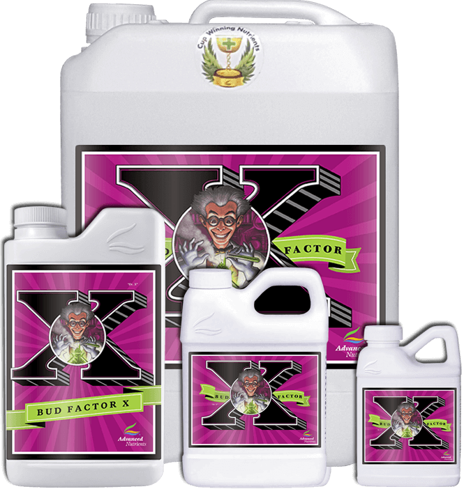Bud Factor X 500ml - slika 2
