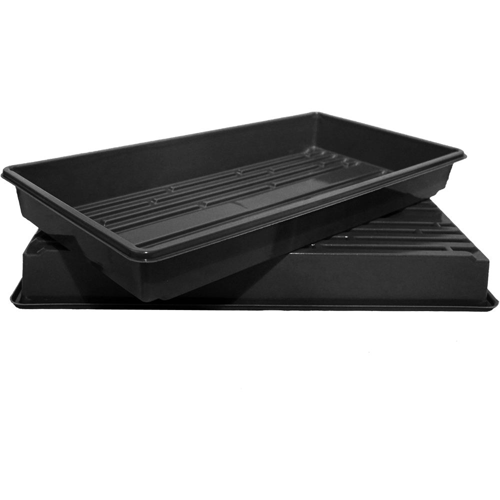 Clone Box Dno - slika 2