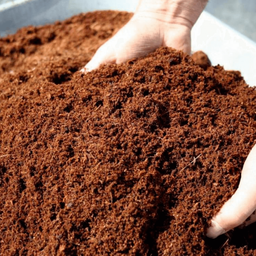 BioSupstrat (Coco Coir) Blok - slika 2