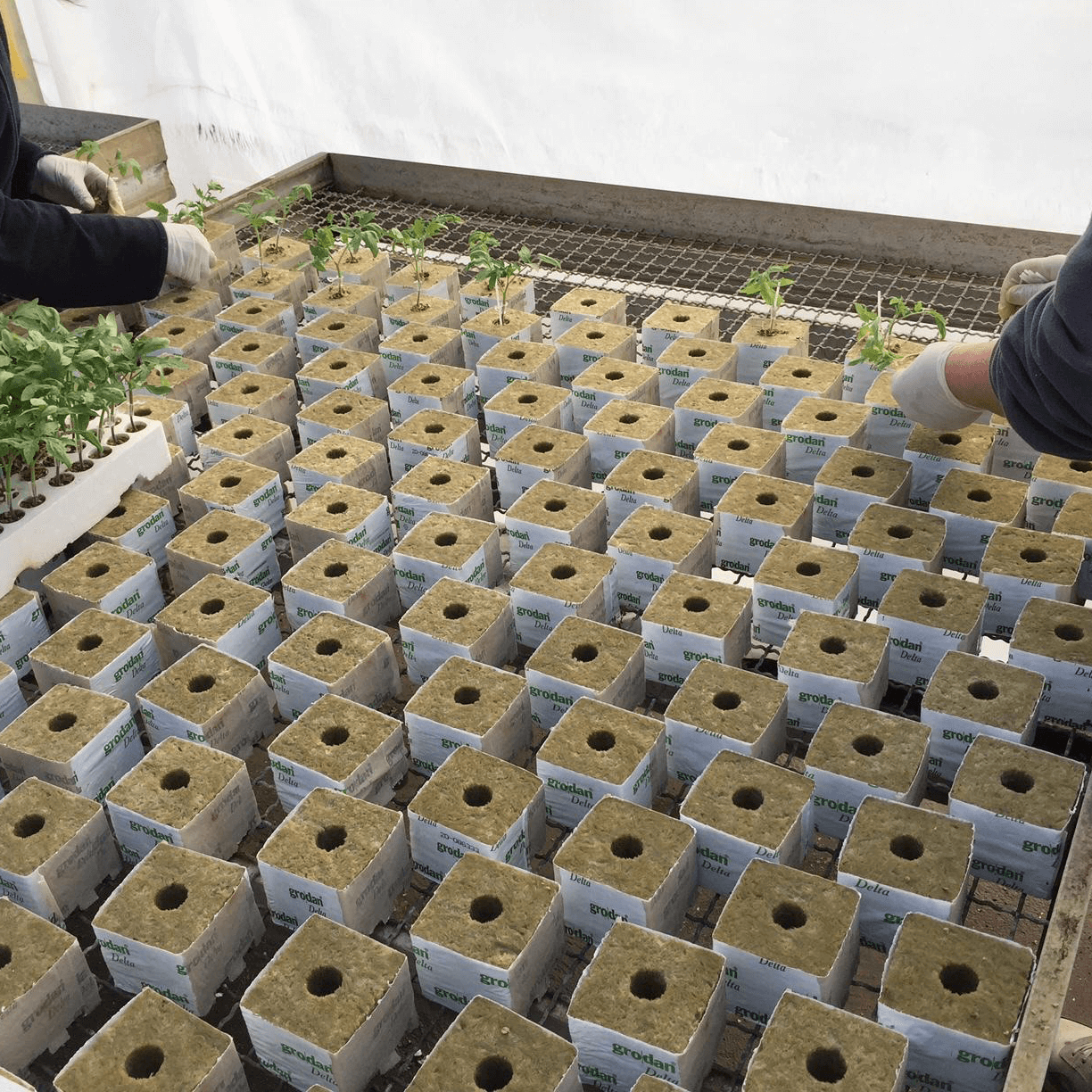 Grodan Delta 10x10 - slika 3