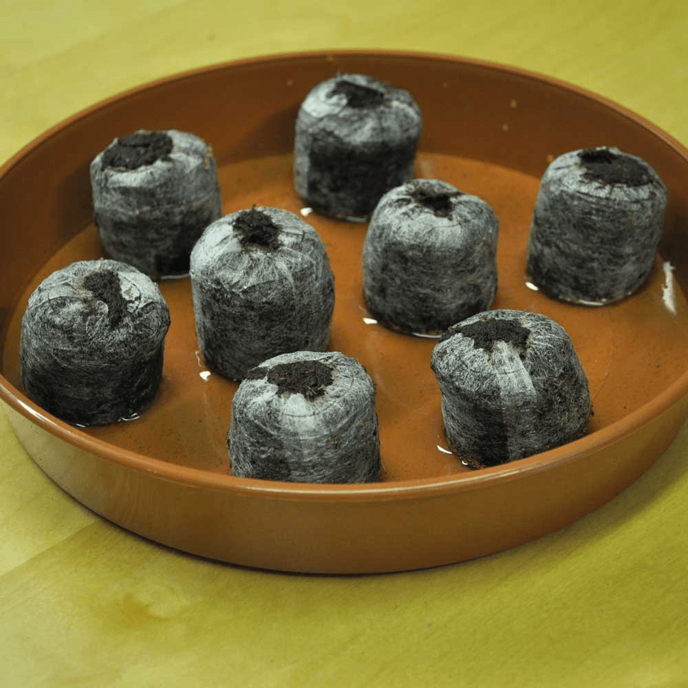 Jiffy Coco Disk 30/33mm - 1 kom. - slika 3