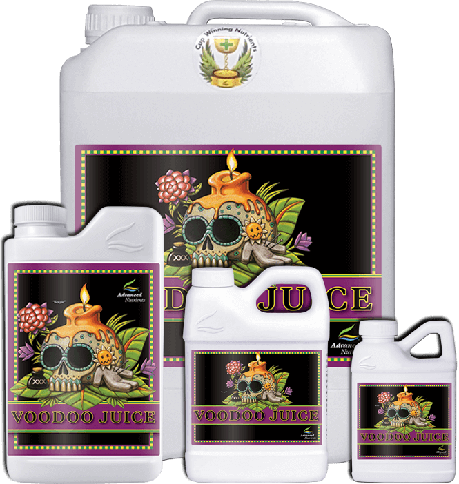 Voodoo Juice 500ml - slika 2