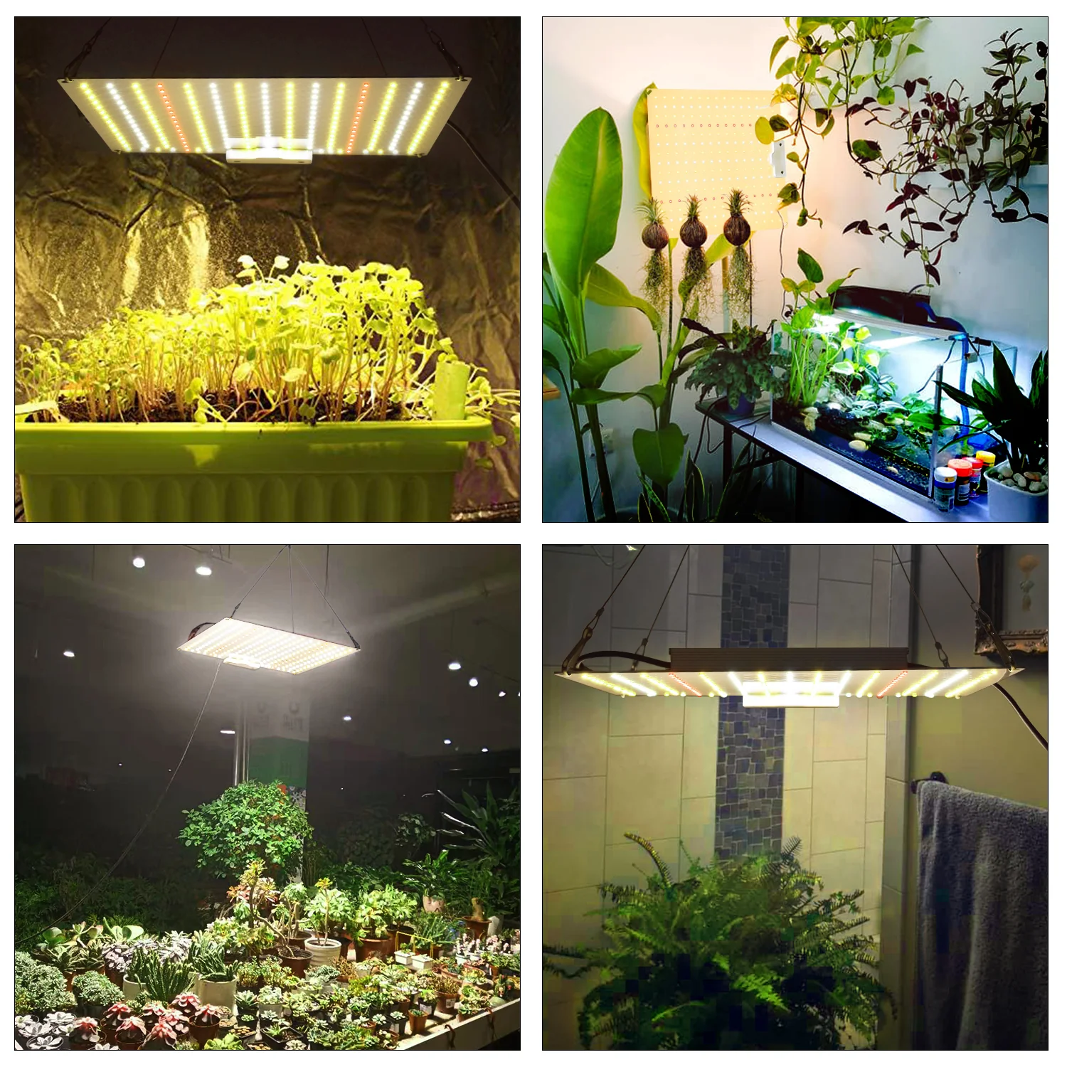 Led Grow Panel 50W 30x30 UV IR - slika 4