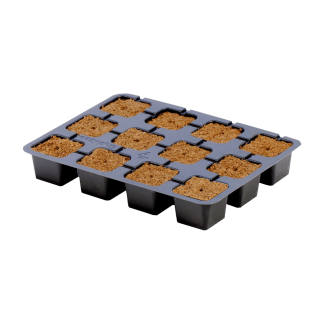 EazyPlug CT12