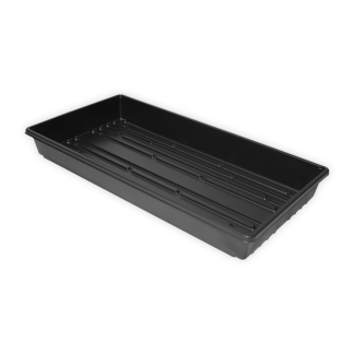 Clone Box Dno