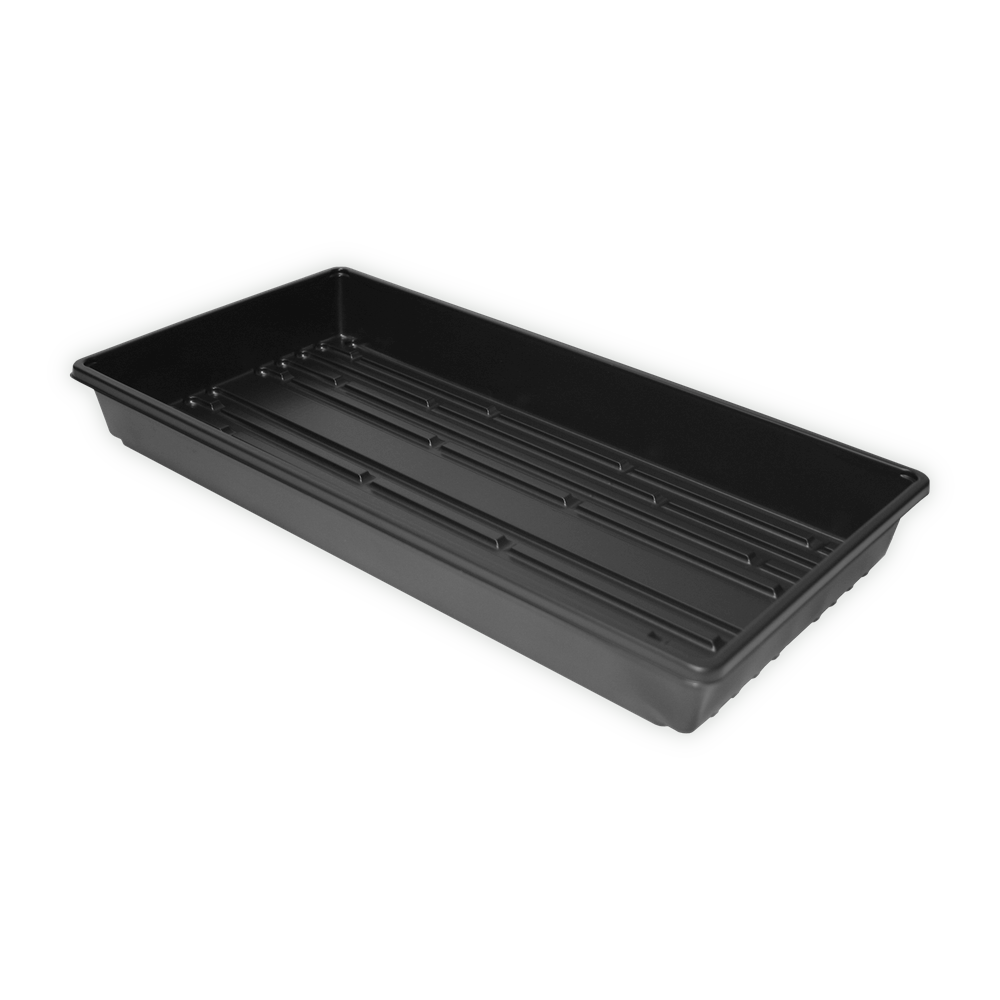 Clone Box Dno