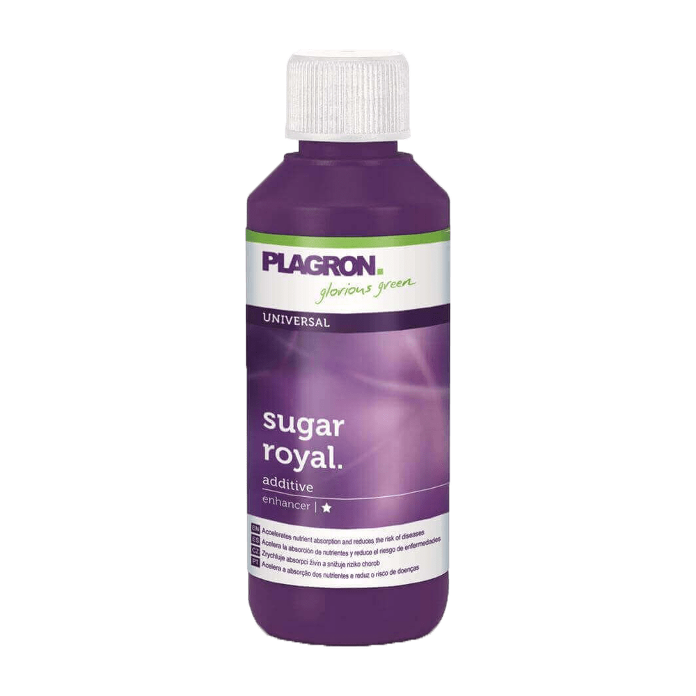 Plagron Sugar Royal 100ml