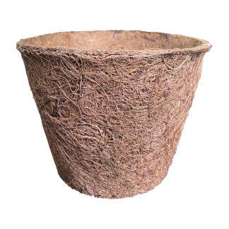 Coco Saksija 20cm