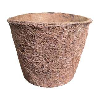 Coco Saksija 25cm