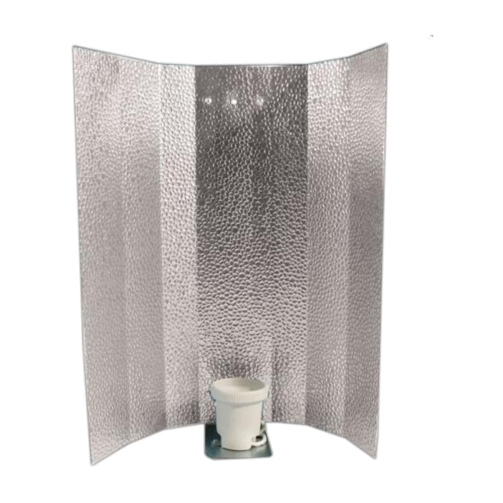 CFL Reflektor Economy