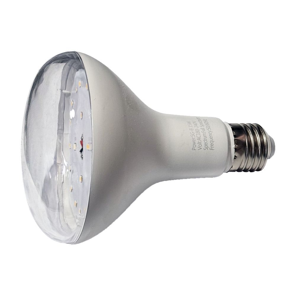 LED Sijalica 15w