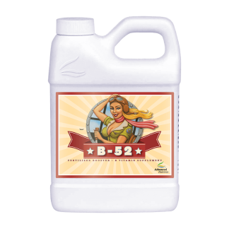 B52 500ml
