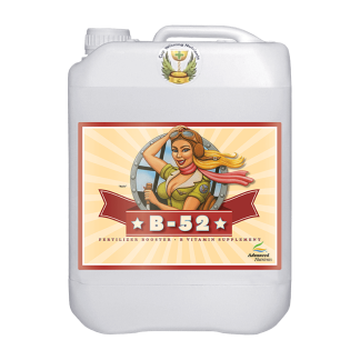 B52 5L
