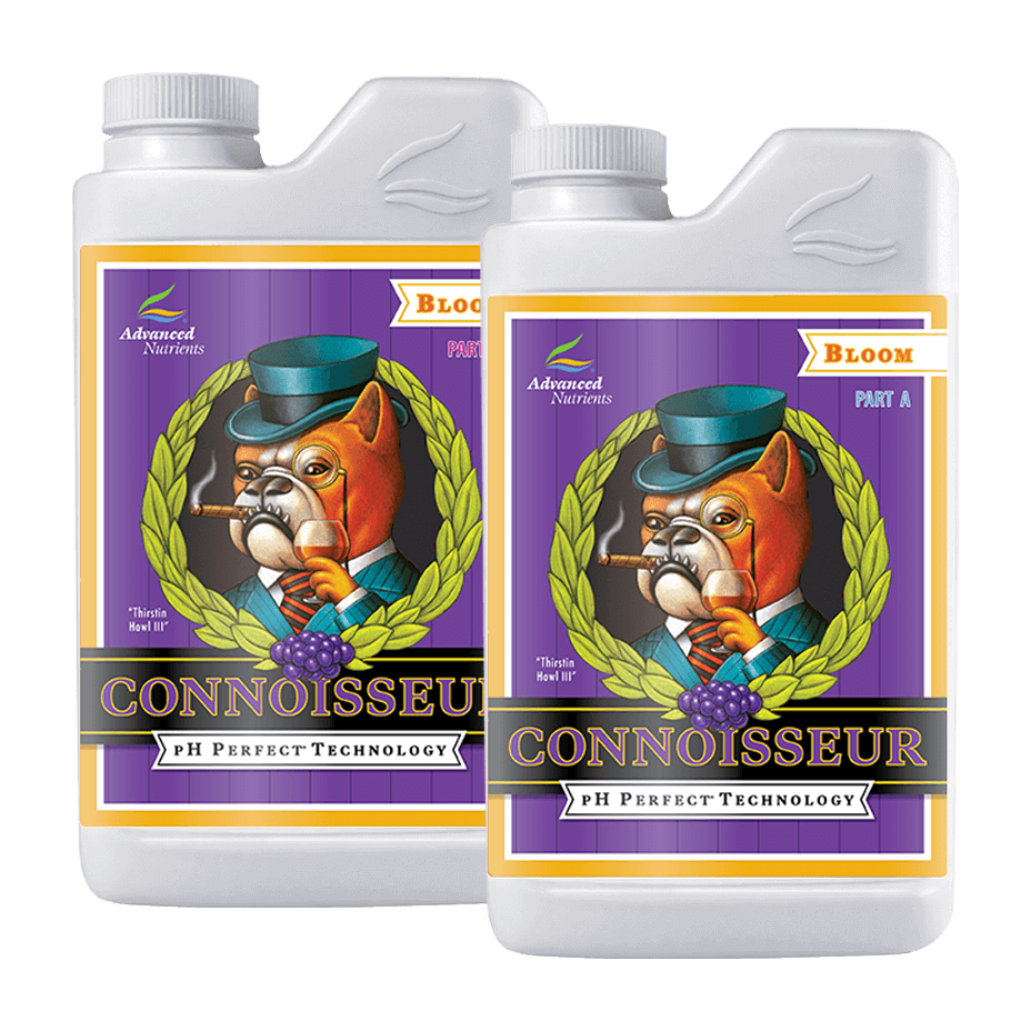 Connoisseur Bloom AB 1L