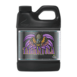 Tarantula 500ml