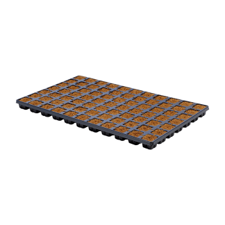 EazyPlug CT77